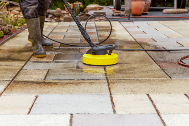 Best Animal Enclosure Cleaning  in Jersey Village, TX